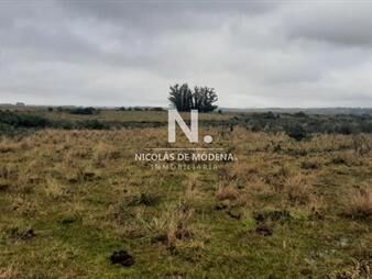 https://web5.gallito.com.uy/campo-en-maldonado-garzon-en-venta-inmuebles-27625620