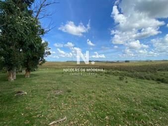 https://web5.gallito.com.uy/venta-de-campo-en-laguna-del-sauce-de-112-has-inmuebles-28139726