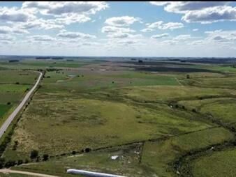 https://web5.gallito.com.uy/150-has-campo-agricola-ganadero-a-tan-solo-10-de-inmuebles-27311738