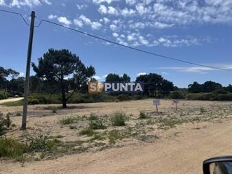 https://www.gallito.com.uy/terreno-en-punta-ballena-tio-tom-inmuebles-28140255
