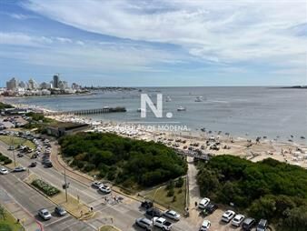 https://web5.gallito.com.uy/apartamento-en-alquiler-2-dormitorios-en-playa-inmuebles-28143579