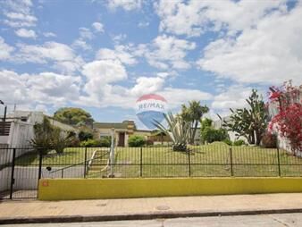 https://web5.gallito.com.uy/venta-casa-3-dormitorios-con-gran-jardin-belvedere-inmuebles-28156685
