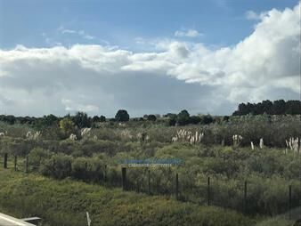 https://web5.gallito.com.uy/casi-8-hectareas-con-frente-sobre-ruta-perimetral-102-y-sob-inmuebles-23505389