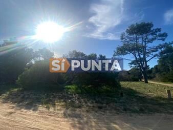 https://www.gallito.com.uy/lote-en-barrio-privado-laguna-escondida-jose-inmuebles-27609145