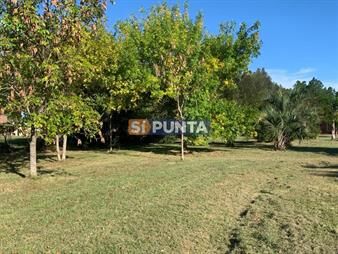 https://www.gallito.com.uy/chacra-en-pueblo-edem-olivos-tajamares-inmuebles-27609258