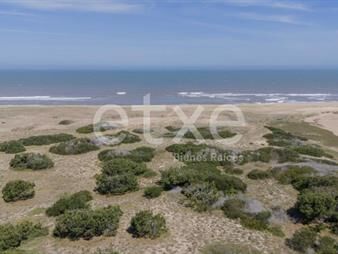 https://www.gallito.com.uy/lotes-en-venta-frente-al-mar-san-antonio-rocha-inmuebles-28186091