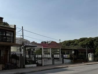https://web5.gallito.com.uy/local-comercial-en-alquiler-–-esquina-av-italia-y-mariscal-inmuebles-28195533