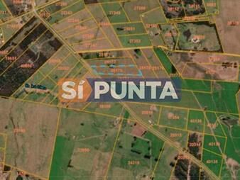 https://www.gallito.com.uy/atencion-lote-en-venta-sobre-ruta-104-inmuebles-27608306