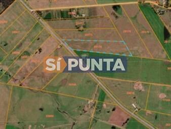 https://www.gallito.com.uy/atencion-terreno-en-venta-sobre-ruta-104-inmuebles-27607995