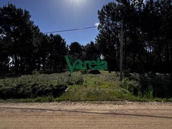 https://www.gallito.com.uy/venta-de-terrenos-financiados-el-pinar-inmuebles-28206045