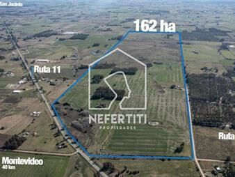 https://web5.gallito.com.uy/campo-de-162-hectareas-en-estacion-pedrera-inmuebles-28206076