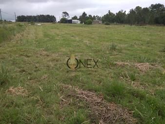 https://web5.gallito.com.uy/campo-3-ha-y-12-con-galpon-inmuebles-27827864