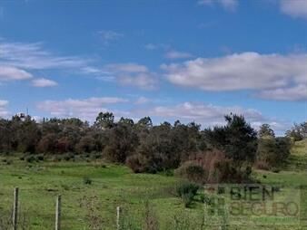 https://web5.gallito.com.uy/chacra-de-3-has-en-venta-en-las-brujas-inmuebles-27972746