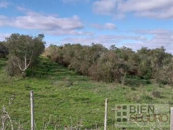 https://web5.gallito.com.uy/chacra-de-3-has-en-venta-en-las-brujas-inmuebles-27972747