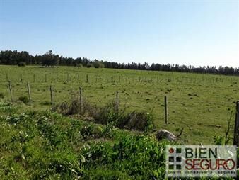 https://web5.gallito.com.uy/chacra-de-133-has-en-venta-en-cerrillos-inmuebles-24240703
