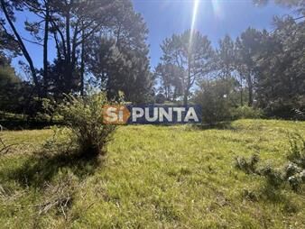 https://www.gallito.com.uy/lote-apto-para-ph-en-pinares-punta-del-este-inmuebles-27907461