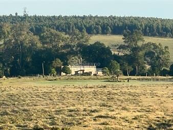 https://web5.gallito.com.uy/campo-forestal-ganadero-en-cerro-largo-inmuebles-28213377