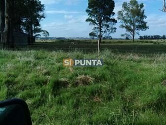 https://www.gallito.com.uy/oportunidad-en-polo-club-country-de-ruta-10-172-inmuebles-27609888
