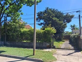 https://web5.gallito.com.uy/buen-predio-muy-lindo-entorno-sobre-calle-orleans-carras-inmuebles-28188667