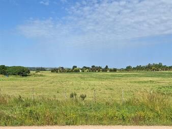 https://web5.gallito.com.uy/venta-campo-4-8-ha-cercado-y-limpio-proximo-pando-inmuebles-28225094