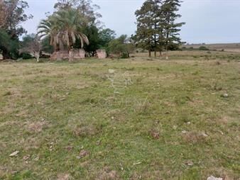 https://web5.gallito.com.uy/114-has-9201-m2-en-paraje-jose-ignacio-inmuebles-23946942