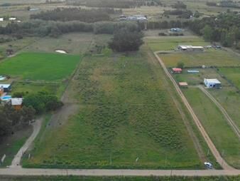 https://web5.gallito.com.uy/venta-de-campo-3ha-en-empalme-olmos-inmuebles-25535397