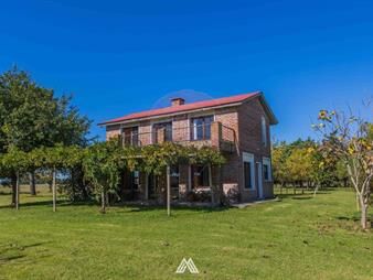 https://web5.gallito.com.uy/venta-campo-y-dos-casas-en-canelones-san-jacinto-inmuebles-28232716