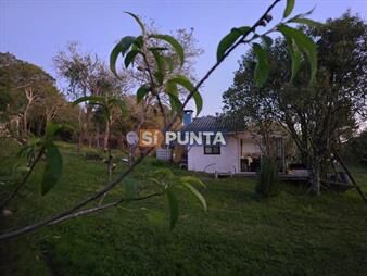 https://web5.gallito.com.uy/chacra-en-venta-en-ruta-39-inmuebles-28102142