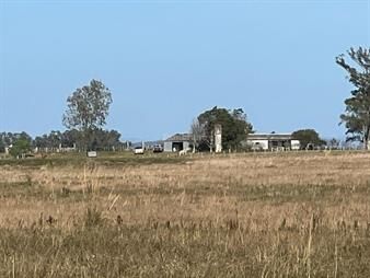 https://web5.gallito.com.uy/estancia-ganadera-450-ha-en-cerro-largo-inmuebles-28216600