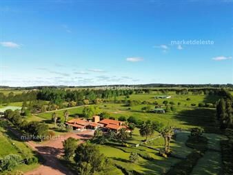 https://web5.gallito.com.uy/haras-en-venta-unico-en-el-pais-inmuebles-28144106