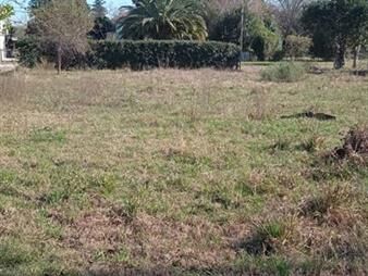 https://www.gallito.com.uy/terreno-en-san-javier-inmuebles-28252950