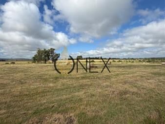 https://www.gallito.com.uy/campo-excepcional-en-aigua-110-hectareas-alto-inmuebles-28253991