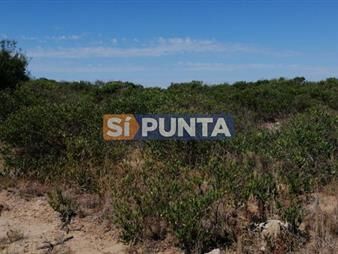 https://www.gallito.com.uy/lote-junto-al-mar-inmuebles-27899726
