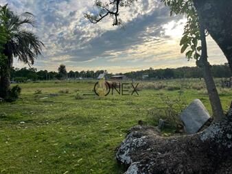https://web5.gallito.com.uy/se-vende-terreno-de-3200-m-en-los-molles-inmuebles-28225575