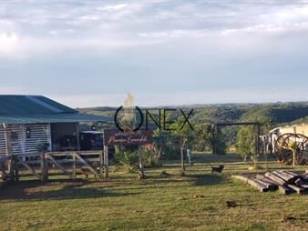 https://web5.gallito.com.uy/se-vende-chacra-8-ha-en-cuchilla-casa-de-piedra-inmuebles-28093575