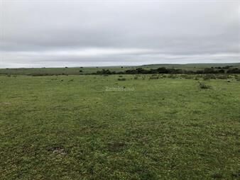 https://web5.gallito.com.uy/estancia-ganadera-de-3800-ha-en-salto-inmuebles-28282776