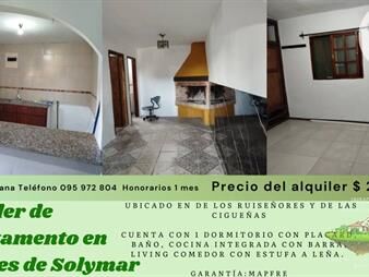 https://web5.gallito.com.uy/alquiler-de-apartamento-en-montes-de-solymar-inmuebles-28098146