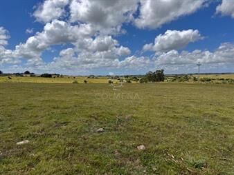 https://web5.gallito.com.uy/campo-19-has-en-paraje-jose-ignacio-inmuebles-28297113