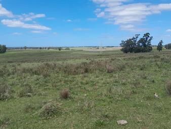https://web5.gallito.com.uy/campo-en-jose-ignacio-inmuebles-28296018