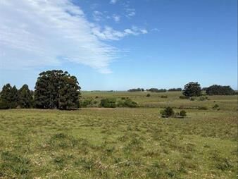 https://web5.gallito.com.uy/campo-agricultura-rocha-inmuebles-28296562