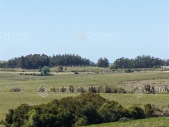 https://www.gallito.com.uy/chacras-de-3-hectareas-ama-jose-ignacio-desde-inmuebles-28308777