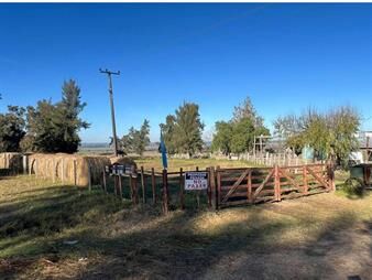 https://web5.gallito.com.uy/venta-de-campo-6has-sobre-ruta-11-km-146-inmuebles-27485522