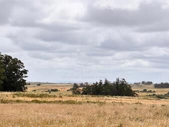 https://www.gallito.com.uy/campo-64-has-en-paraje-jose-ignacio-inmuebles-28297177