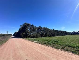 https://www.gallito.com.uy/venta-de-campo-de-282-hectareas-camino-garces-inmuebles-28317996