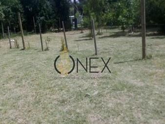 https://web5.gallito.com.uy/terreno-en-los-pinos-inmuebles-28316844