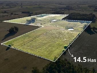 https://www.gallito.com.uy/alquil-14-hectareas-y-media-de-campo-san-jacinto-inmuebles-28334964